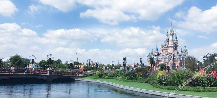 曼福楼连锁酒店(上海旅游度假区店)图片