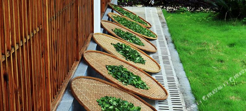 武夷山山栖谷隐民宿(奇丹茶庄园店)图片