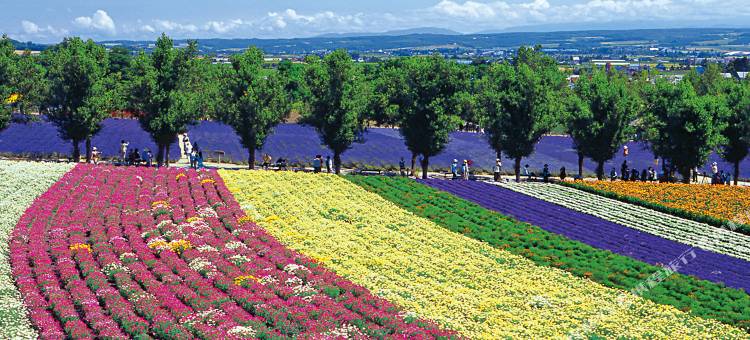 R酒店旅馆-北海道旭川(R Hotels Inn Hokkaido Asahikawa)图片