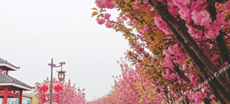 近水人家·微山湖民宿图片