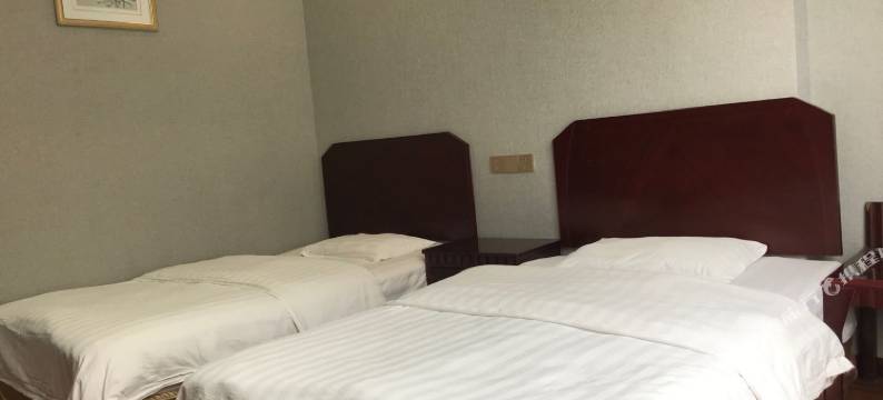 仪陇红发林商务酒店图片