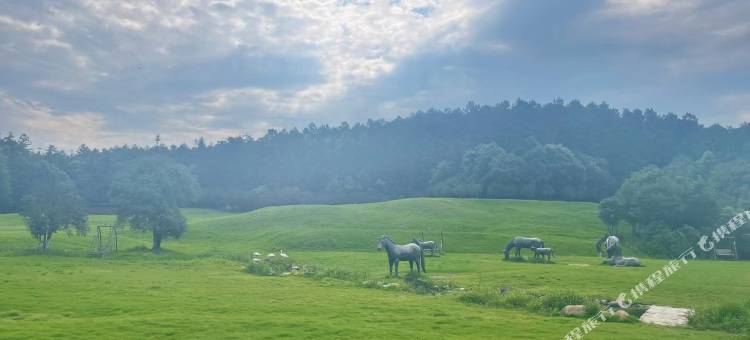 安吉地香民宿(中南百草原浙江自然博物馆店)图片