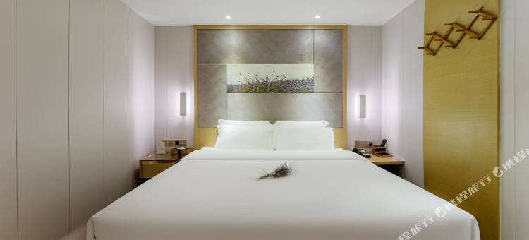 麗枫酒店(长沙步行街南门口地铁站店)图片