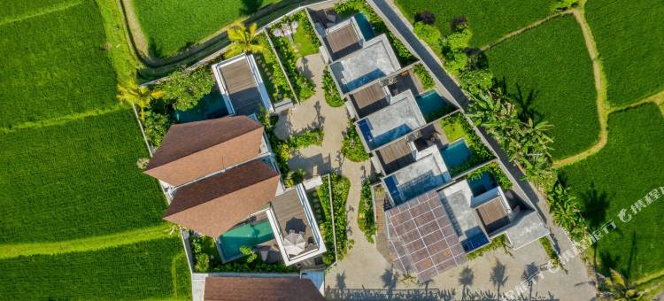 阿格拉帕纳海滩别墅(Agrapana Beach Villa)图片
