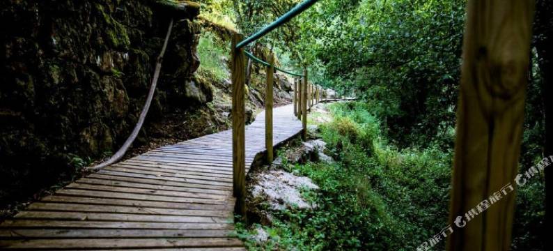 拉万蒂拉杜罗自然与健康(Lavandeira Douro Nature & Wellness)图片