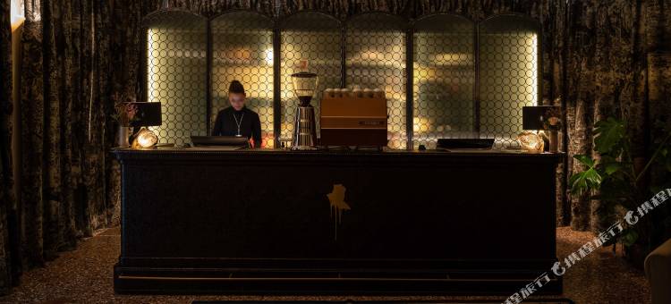 威尼斯威尼斯酒店(The Venice Venice Hotel)图片