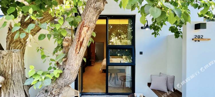 敦煌大也客栈(鸣沙山月牙泉景区店)图片