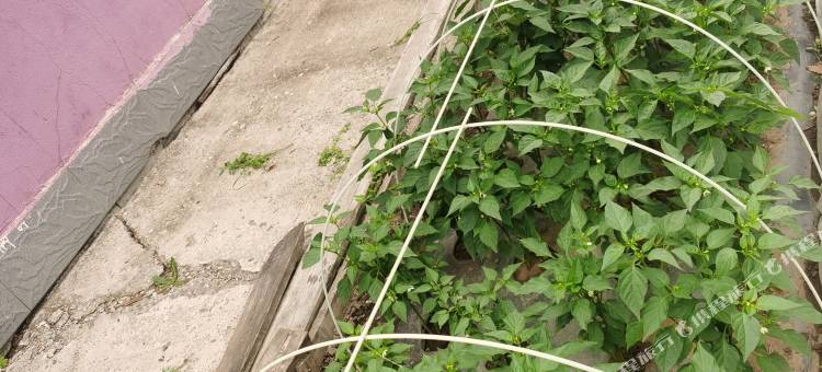 根河市满归镇暖冬宾馆图片