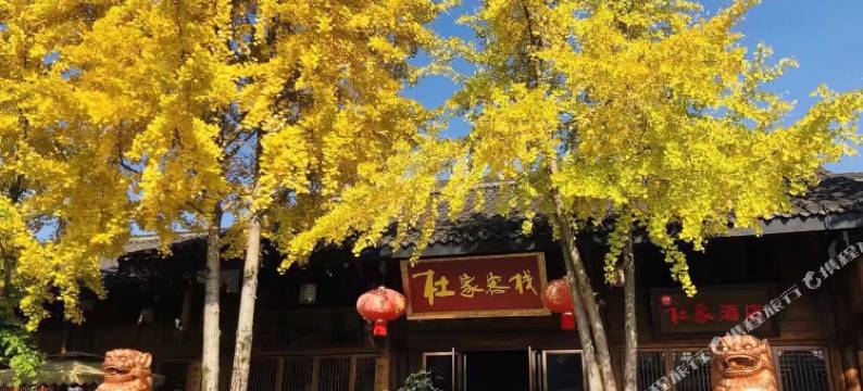杜家客栈(阆中古城华光楼店)图片