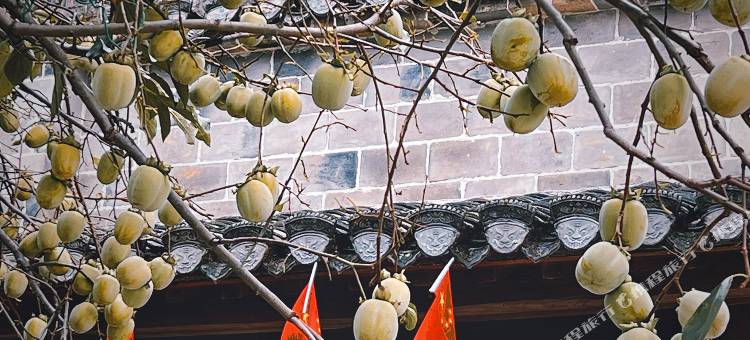 黄山徽溪雅院(西溪南古村落店)图片