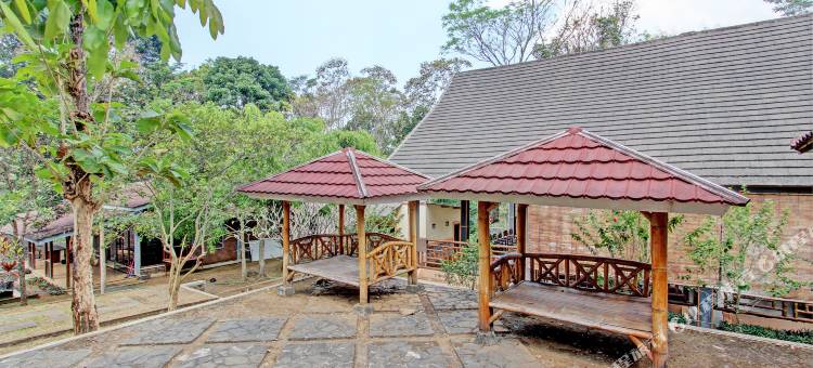 O酒店 MTC双层床(Hotel O Mtc Bunk Bed)图片