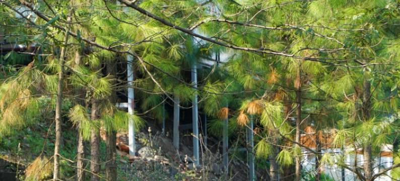 隐心江景 · Courtyard亲子休闲度假庭院民宿(宁国店)图片