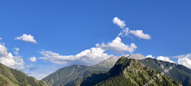 昭苏鑫雨阁民宿(夏塔乡店)图片
