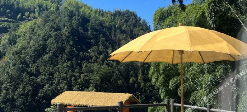 松阳梨庭别院民宿图片