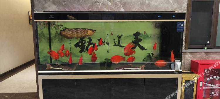 大同心悦酒店图片