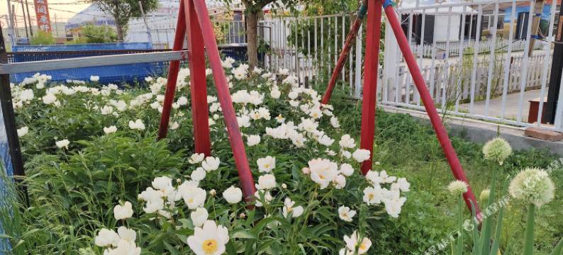 黑山头萨如拉之家图片