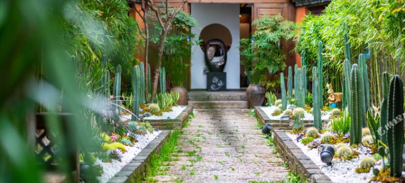 雲且曼·观日照金山·雪山全景美宿(丽江古城忠义市场店)图片