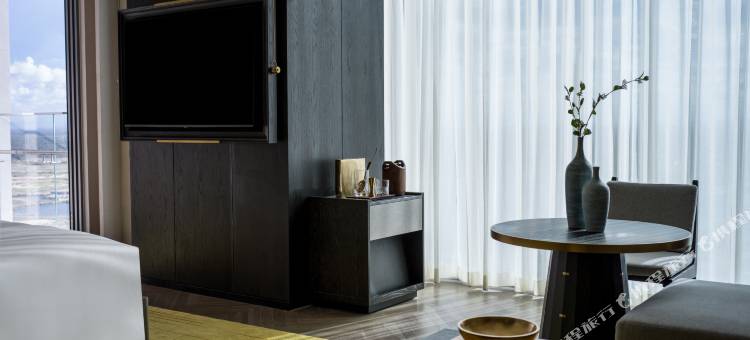 会安南岸套房酒店(Hoiana Hotel and Suites)图片