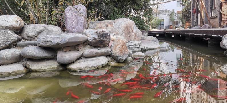 洛南花溪弄别墅酒店图片