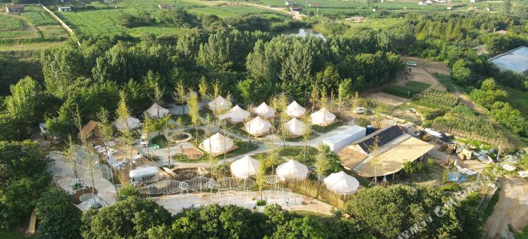 驻龙山U+Jungle野奢帐篷营地图片