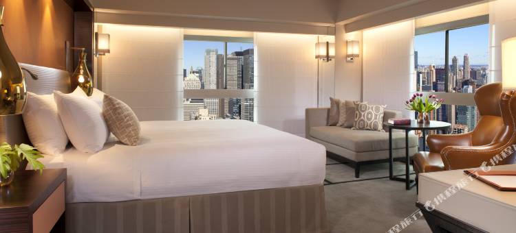 纽约第一联合广场希尔顿千禧酒店(Millennium Hilton New York One UN Plaza)图片