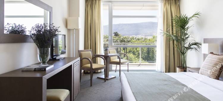 阿玛利亚酒店(Hotel Amalia Athens)图片