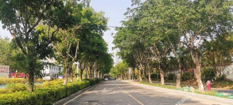 珩舍别院(厦门北站店)图片