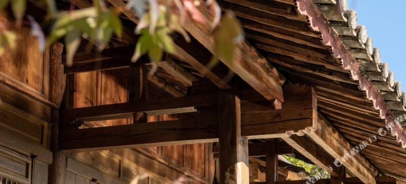 大理洱源朴山.野奢森林温泉图片