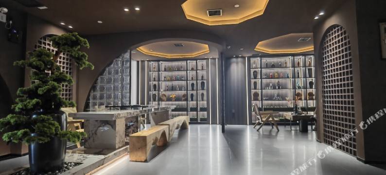 北辰·揽江酒店(北辰国际会议中心店)图片