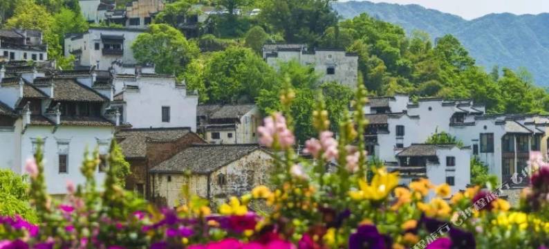 婺源沁悦民宿(篁岭景区店)图片