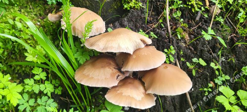 库尔德宁朴宿民宿图片