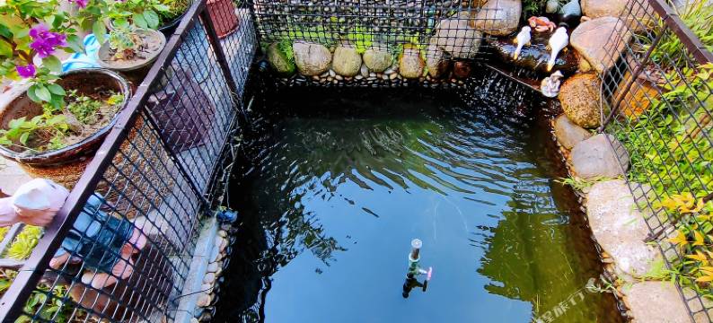 临海欣荣小苑农家乐图片