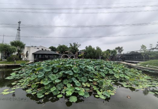 Yahe TRUE GO Hotel (Beijing Ali Chaoyang Science and Technology Park Cuigezhuang Subway Station ) Hotel Overview