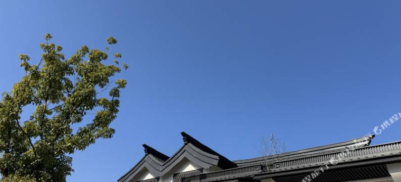 际华园水晶谷隐奢院墅民宿图片