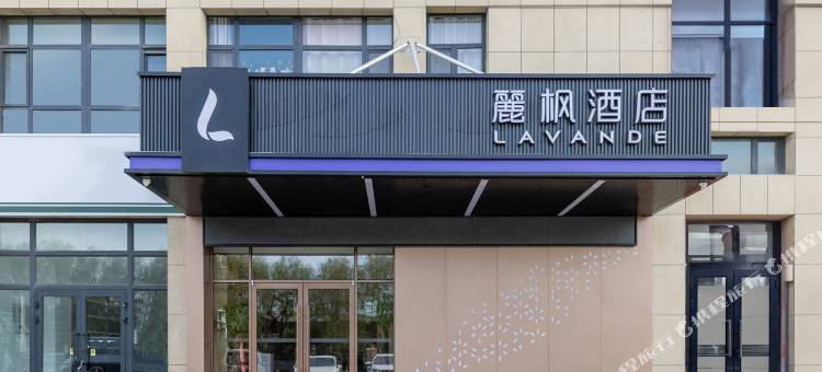 麗枫酒店(昌吉青年南路特变总部店)图片