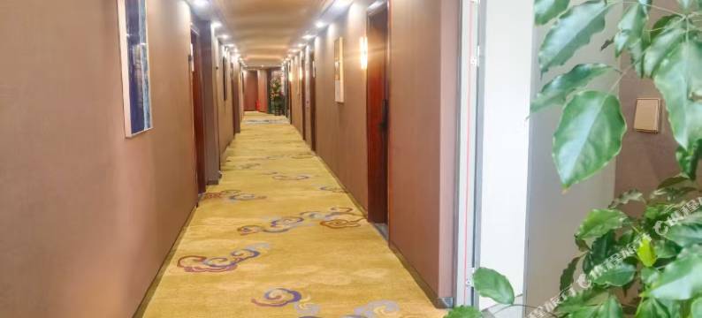 三穗铂尔曼大酒店图片