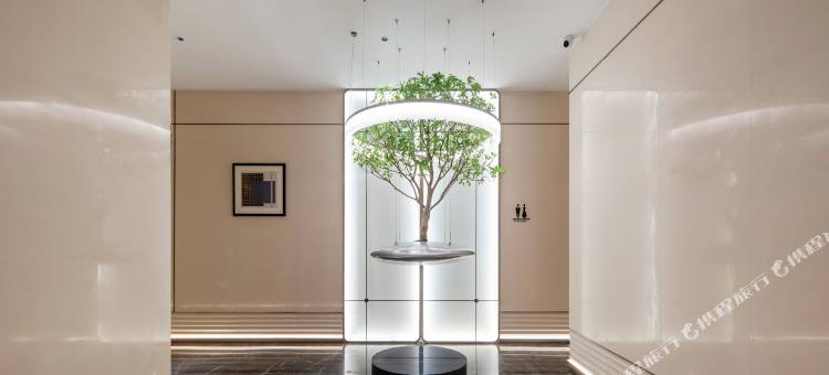 美豪酒店(柳州五星步行街地王新天地店)图片