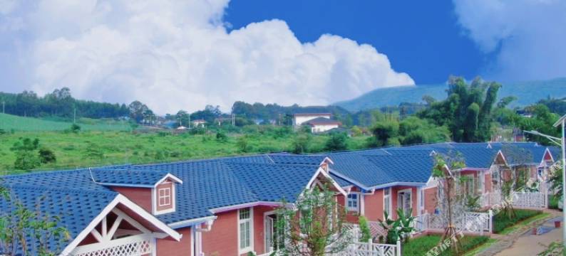 大明山茶园景区民宿图片