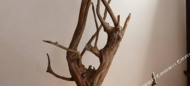 听溪·云宿图片