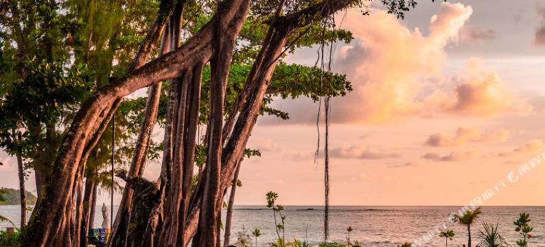 考拉梅林度假村(Khaolak Merlin Resort)图片