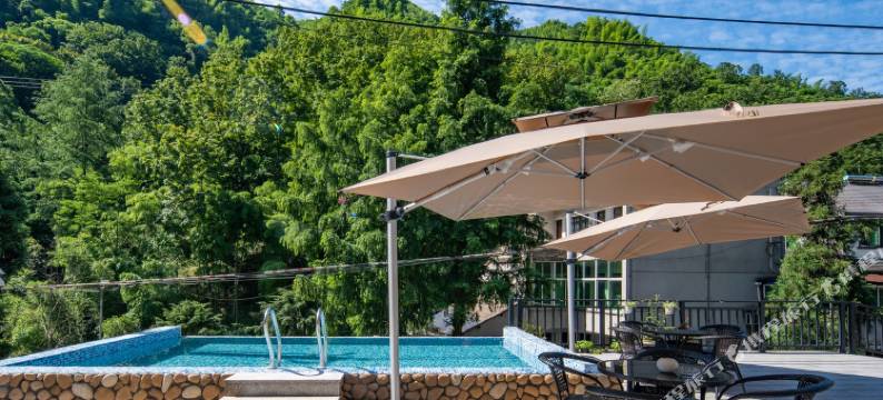 安吉缘兮山奢民宿(藏龙百瀑店)图片