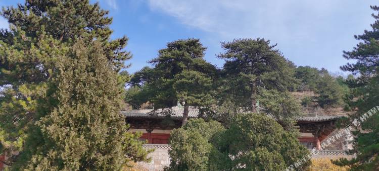 五台山峰回路转酒店(五爷庙店)图片