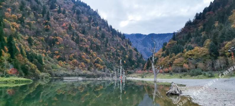 黑水香格里拉客栈图片
