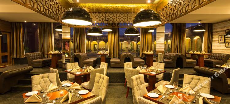 维斯塔比卡内尔宫酒店(Vesta Bikaner Palace)图片