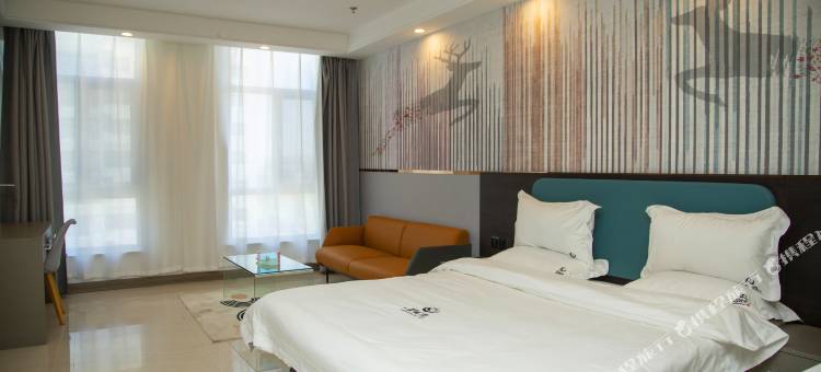 朔州星城湾酒店(工学院师范专科学校店)图片