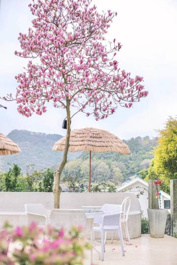 杭州西湖茗白山景民宿(西湖景区店)图片