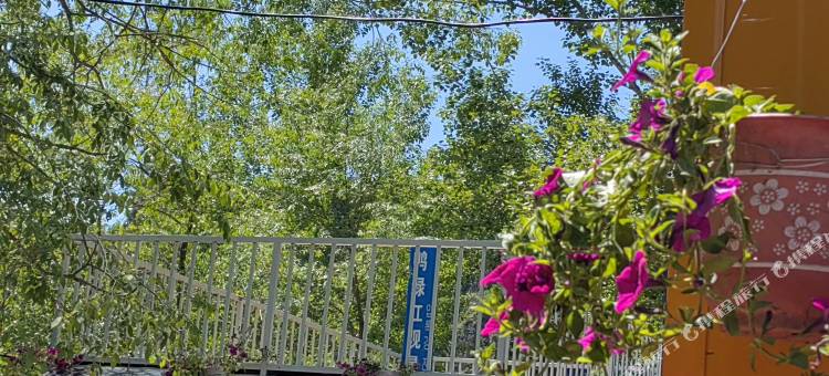 长白望天鹅新村河口民宿图片