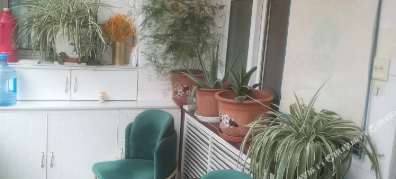 农电招待所图片