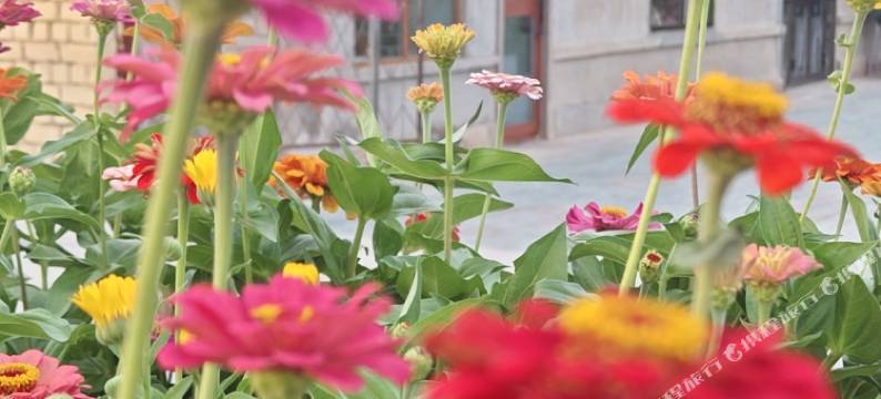 依田·朴宿民宿(月亮地村店)图片