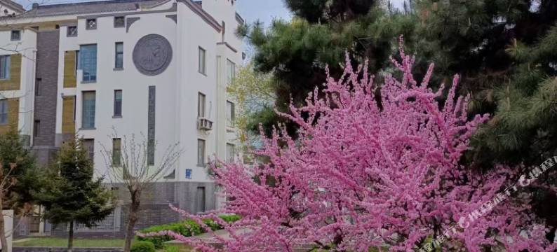 花屿海海景民宿图片